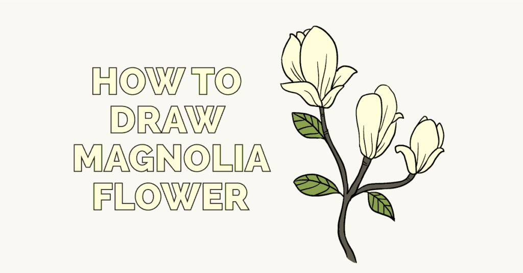 Magnolia