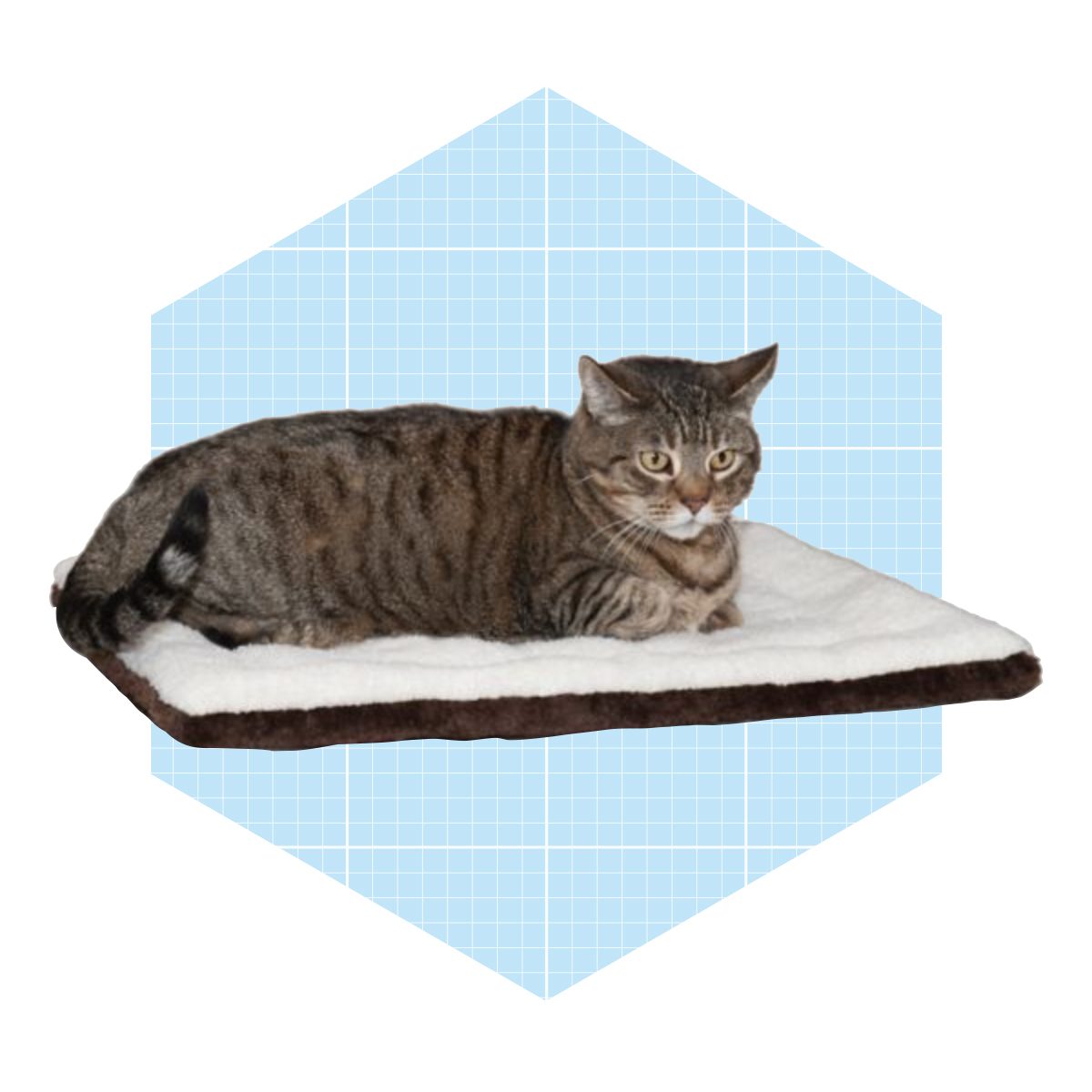 Self Warming Pet Pad Pillow Pet Bed Ecomm Tractorsupply.com