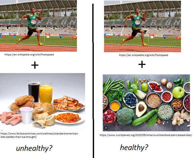 New Information on Excessive Endurance Training & Health - The Role Of Healthy Diet