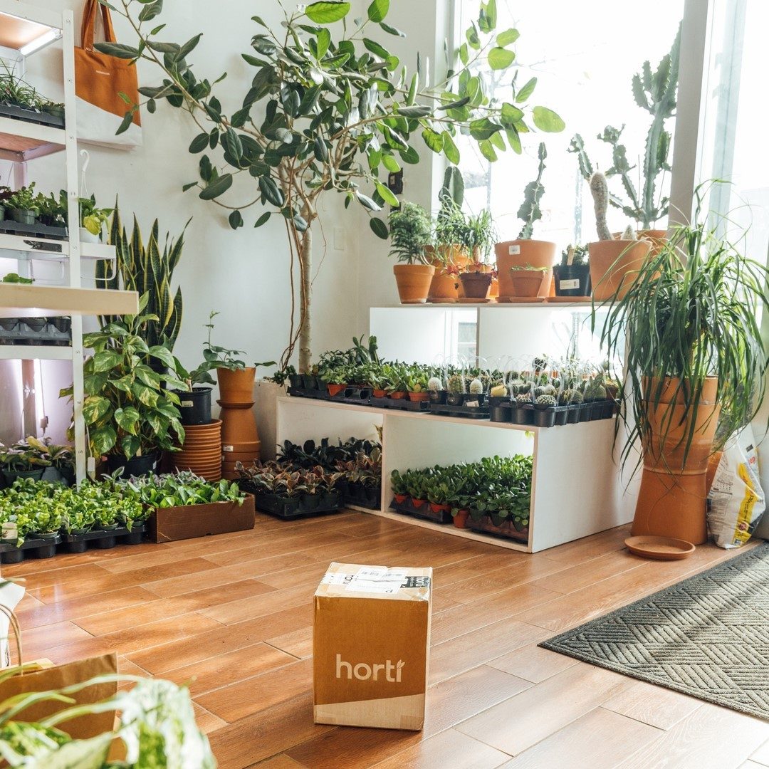 Plant Subscription Ecomm Via Heyhorti