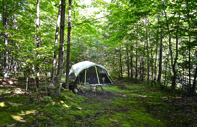 Family Camping Tents- coleman review