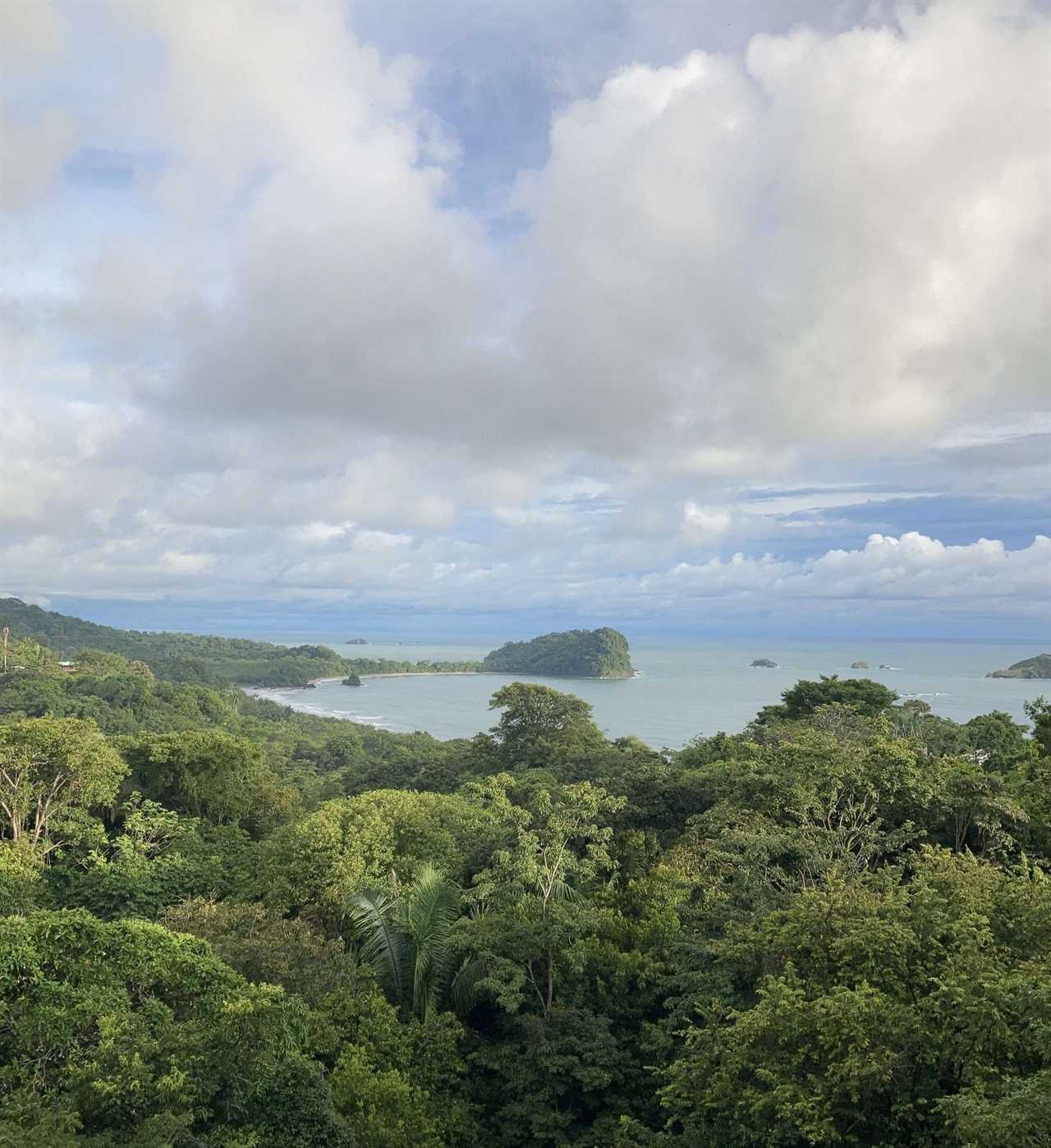 high view of manuel antonio national park beach and trees