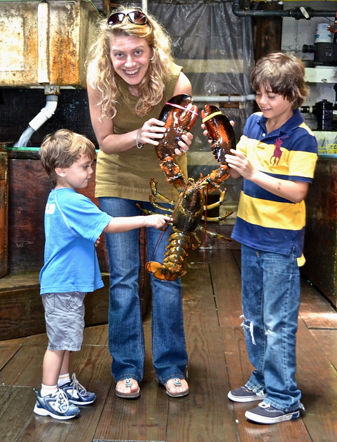 holding lobster in newport with kids