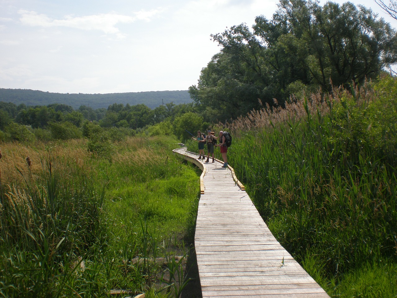 Top Hiking Locations in the U.S