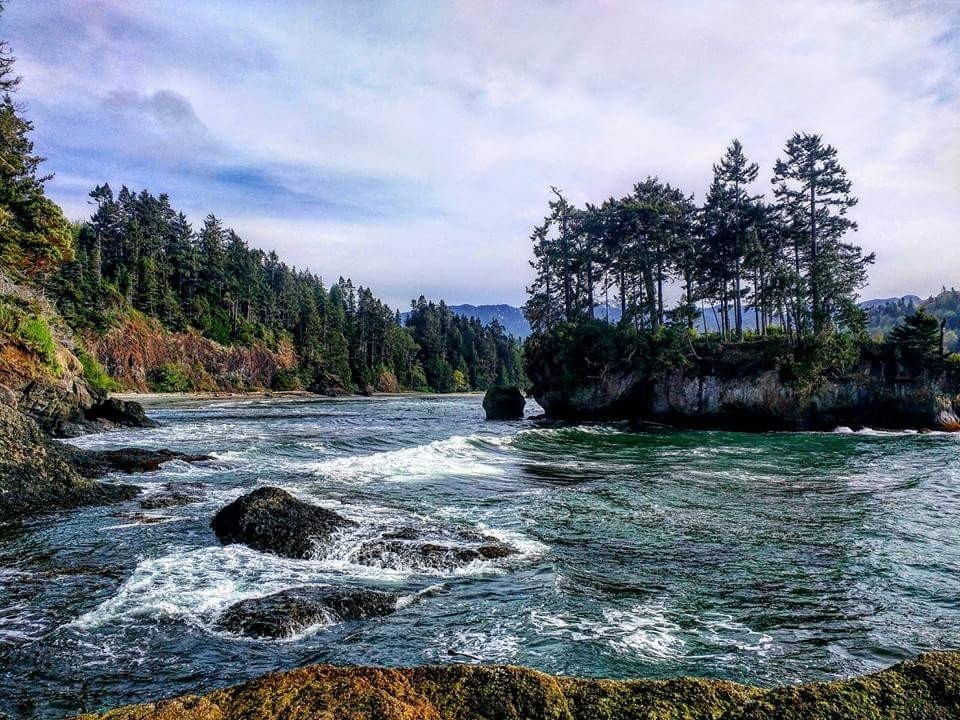 Olympic Peninsula – Washington