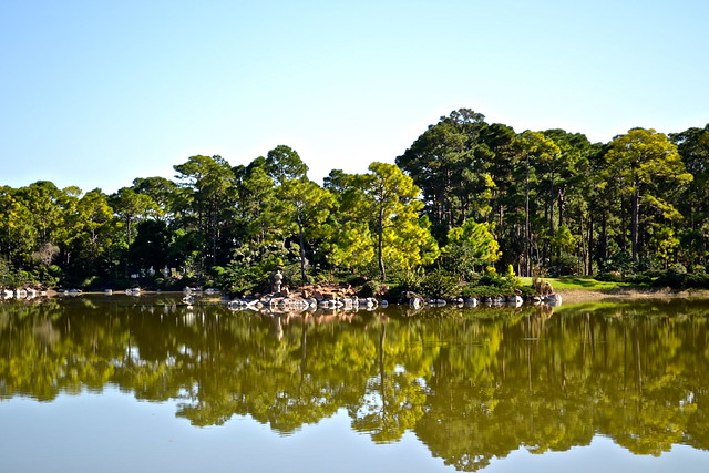 morikami gardens japanese botanical garden florida 