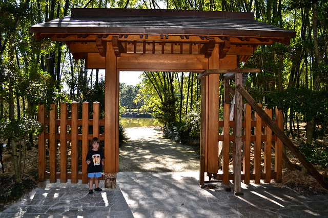 botanical garden in florida 