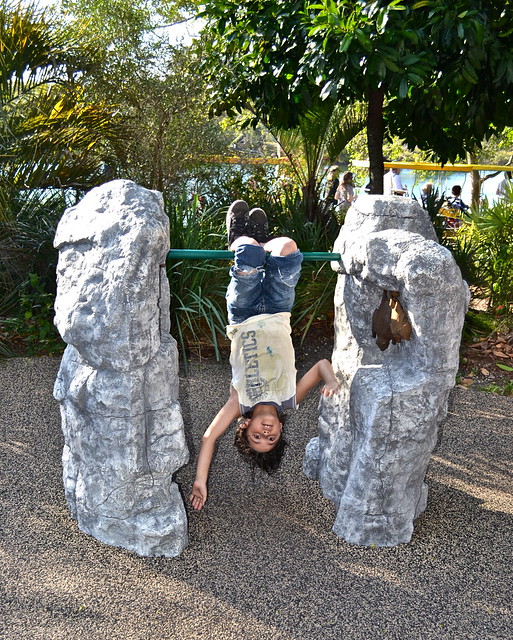 kid playing at miami zoo