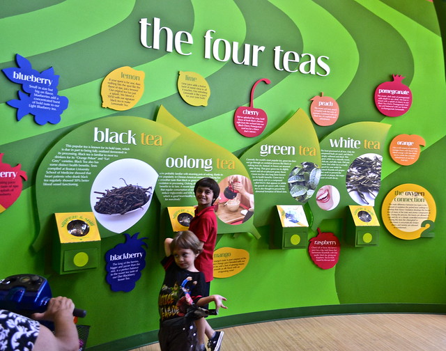 Tea Education Center turkey hill iced tea review 