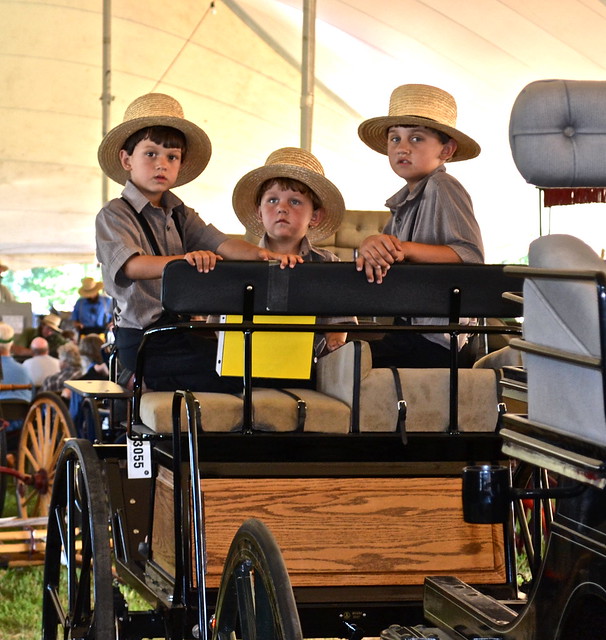 amish boys