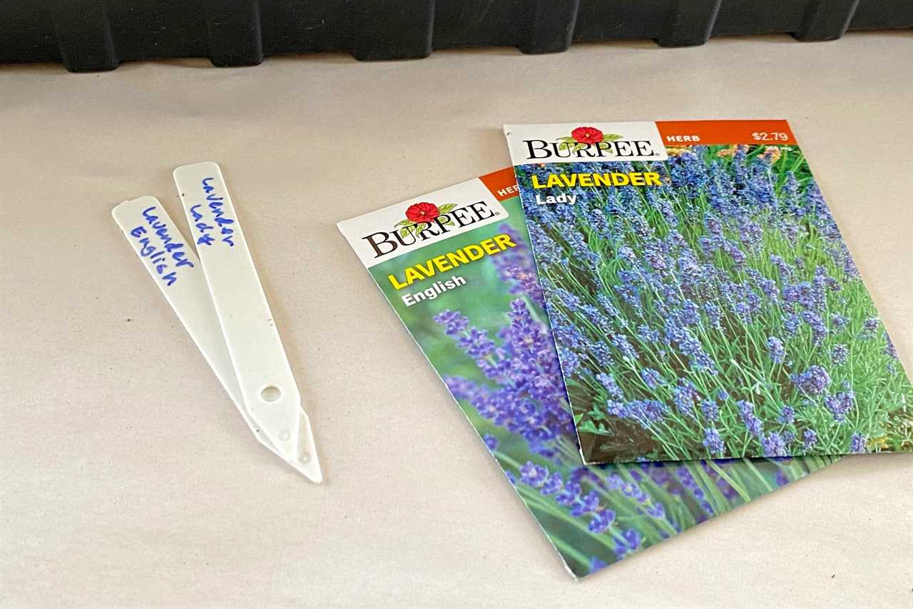 lavender seed packets