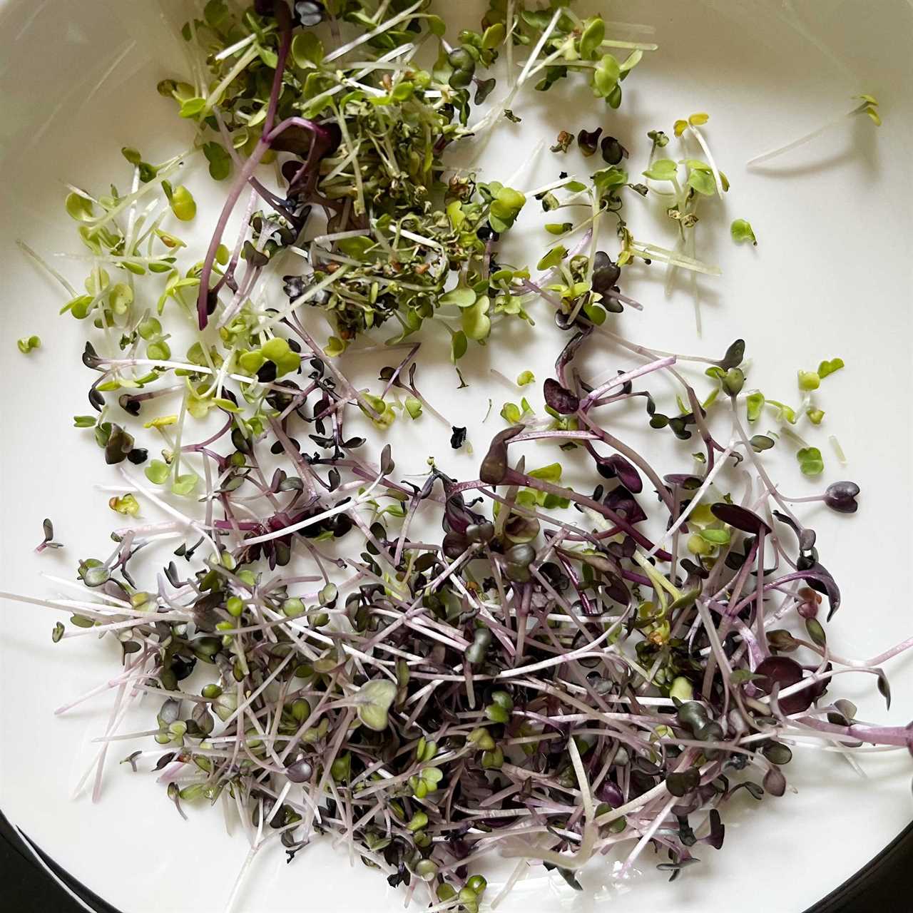 Microgreens