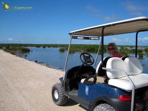 golf cart tour along the mangroves of ambergris caye in belize