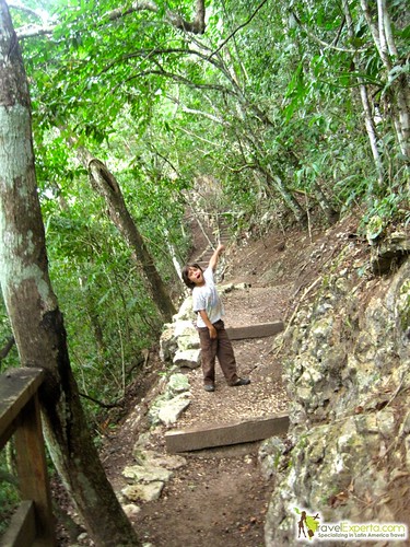 hiking trail belize rain forest