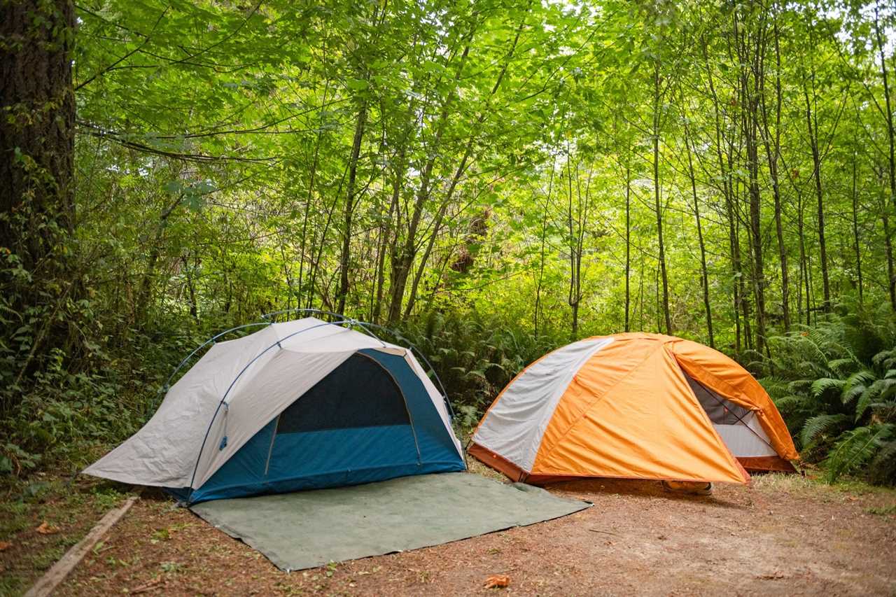 Two Small Camping Tents Side by Side in Redwood National Park in California USA