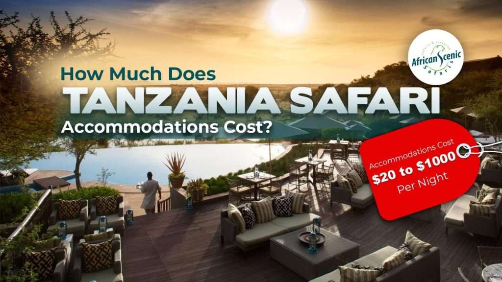 How Much Does Tanzania Safari Accommodation Cost?