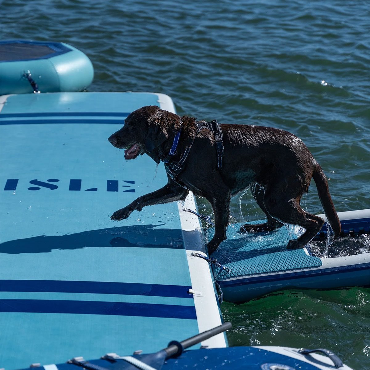 Where To Buy A Floating Dock