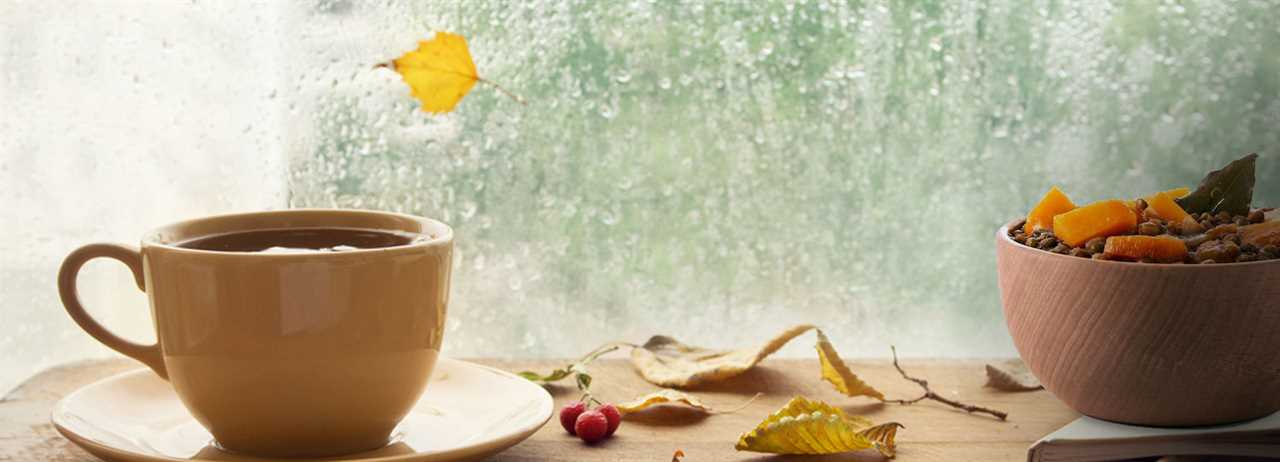 The Monsoon Diet: Rejuvenate your Body