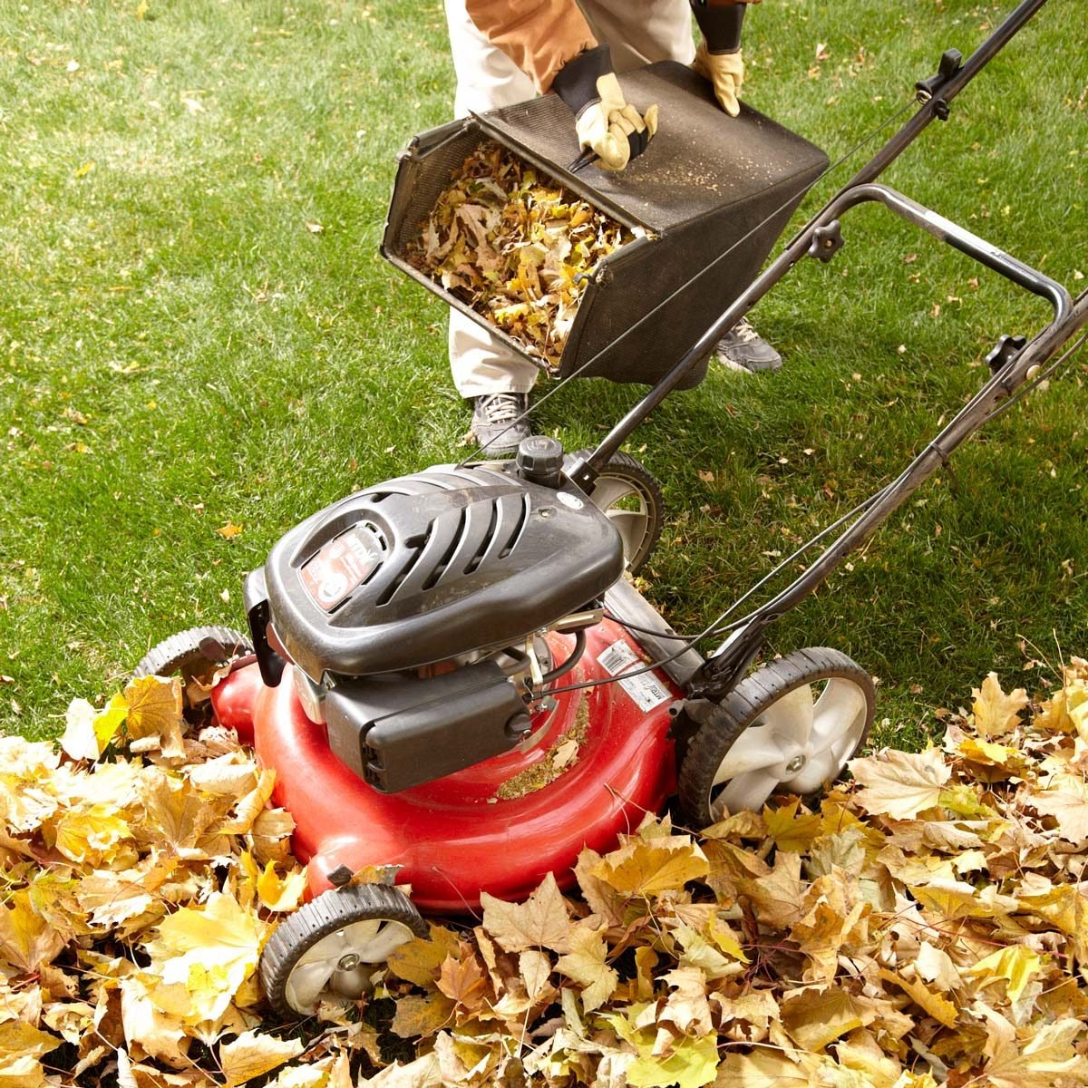 14 Tips for Dealing with Leaves Like a Pro | Family Handyman