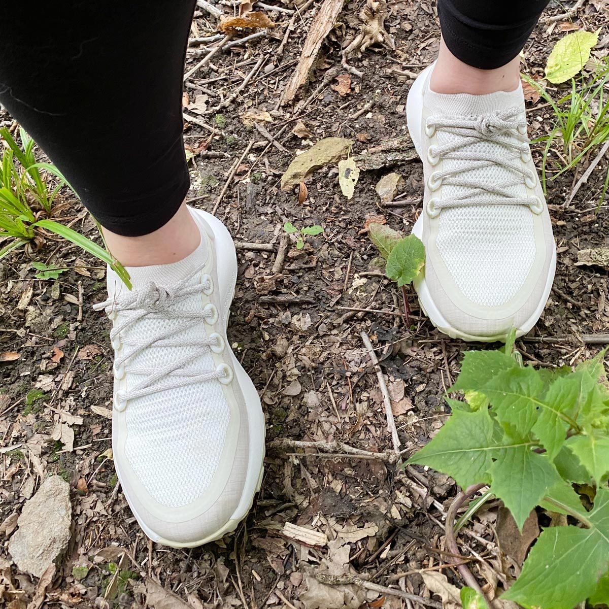 Allbirds Trail Runner walking in the woods