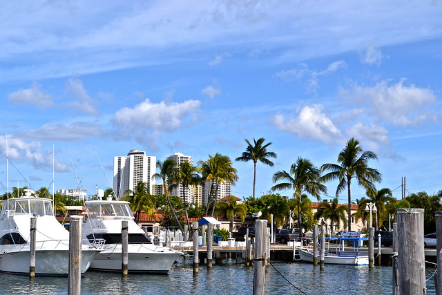 view from marina buffet 