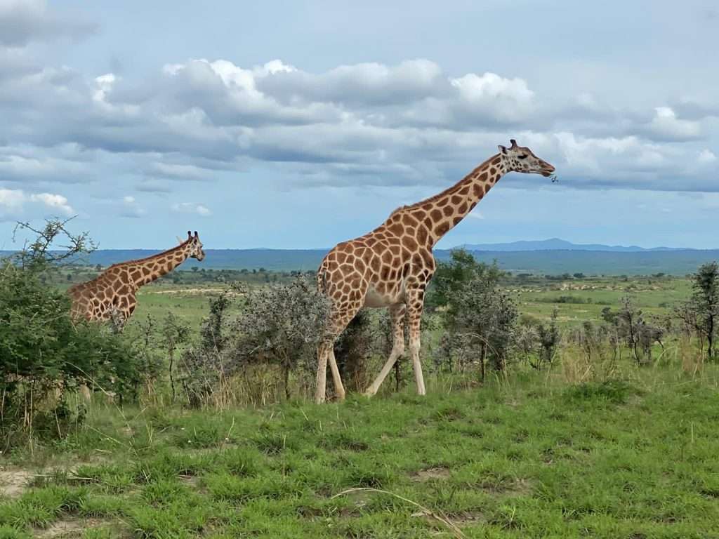 The Best Places to Visit In Uganda