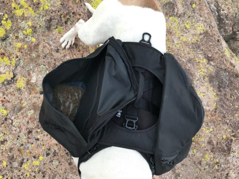 What is the best dog backpack?