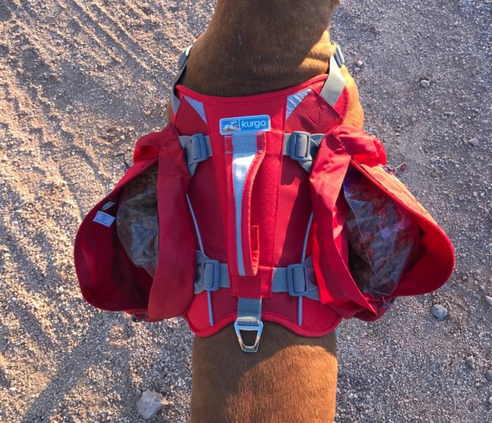 What is the best dog backpack?