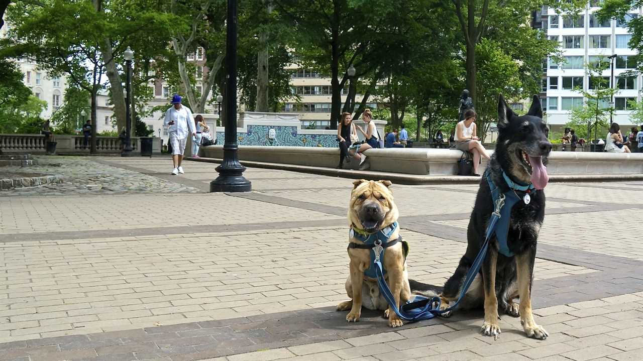 Rittenhouse Square - Philadelphia, PA