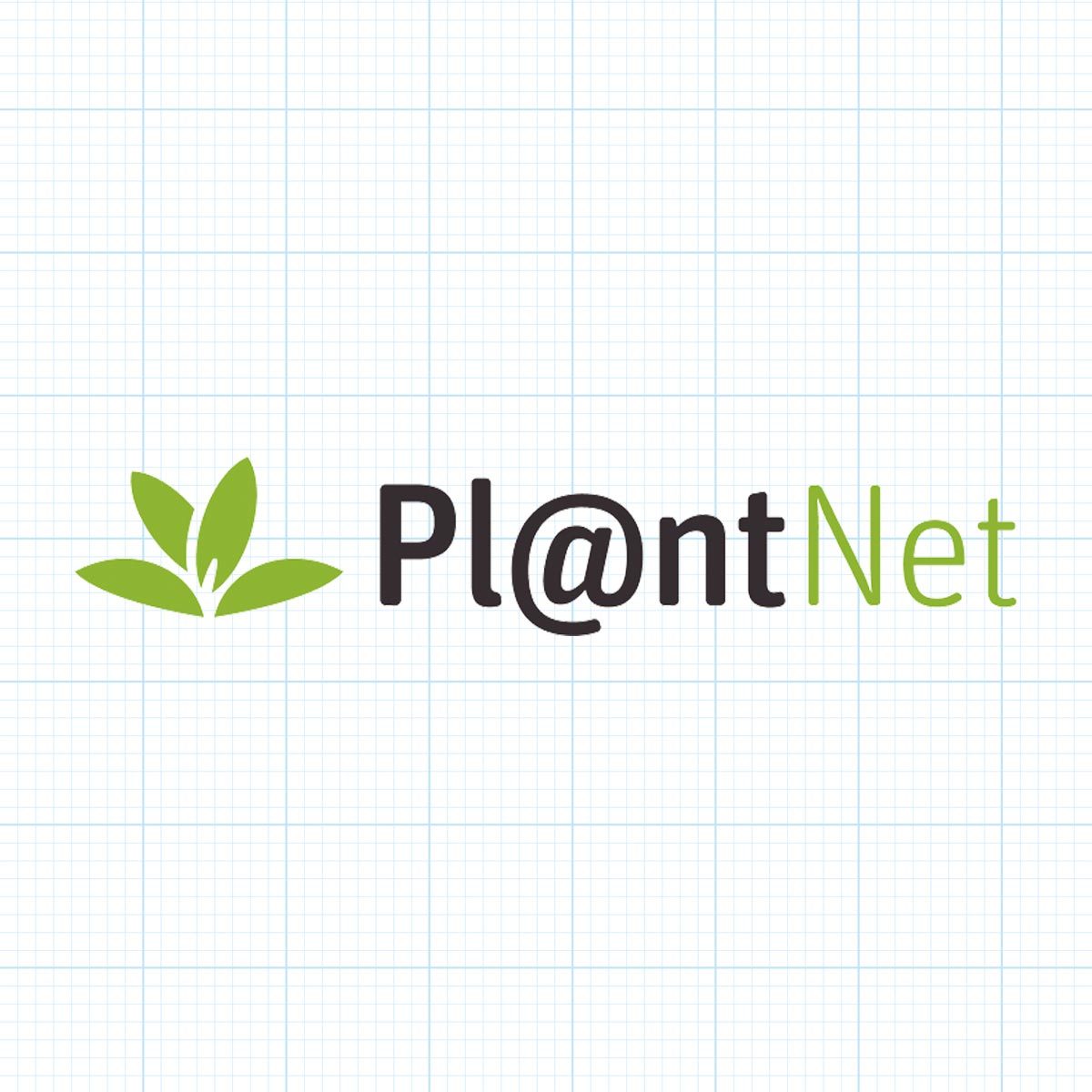 The Best Plant Identification Apps Plantnet