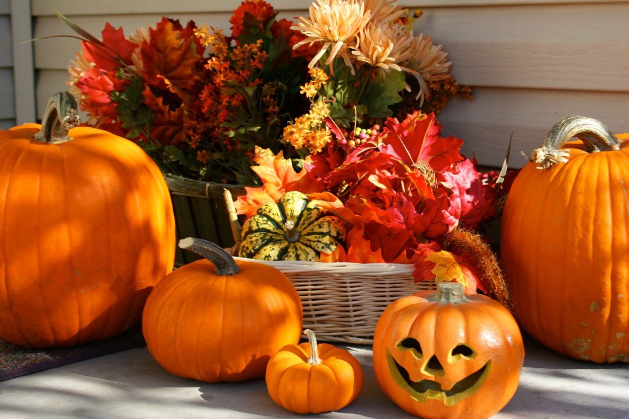 Pumpkins and Fall Floral Flower Halloween Display On Front Porch