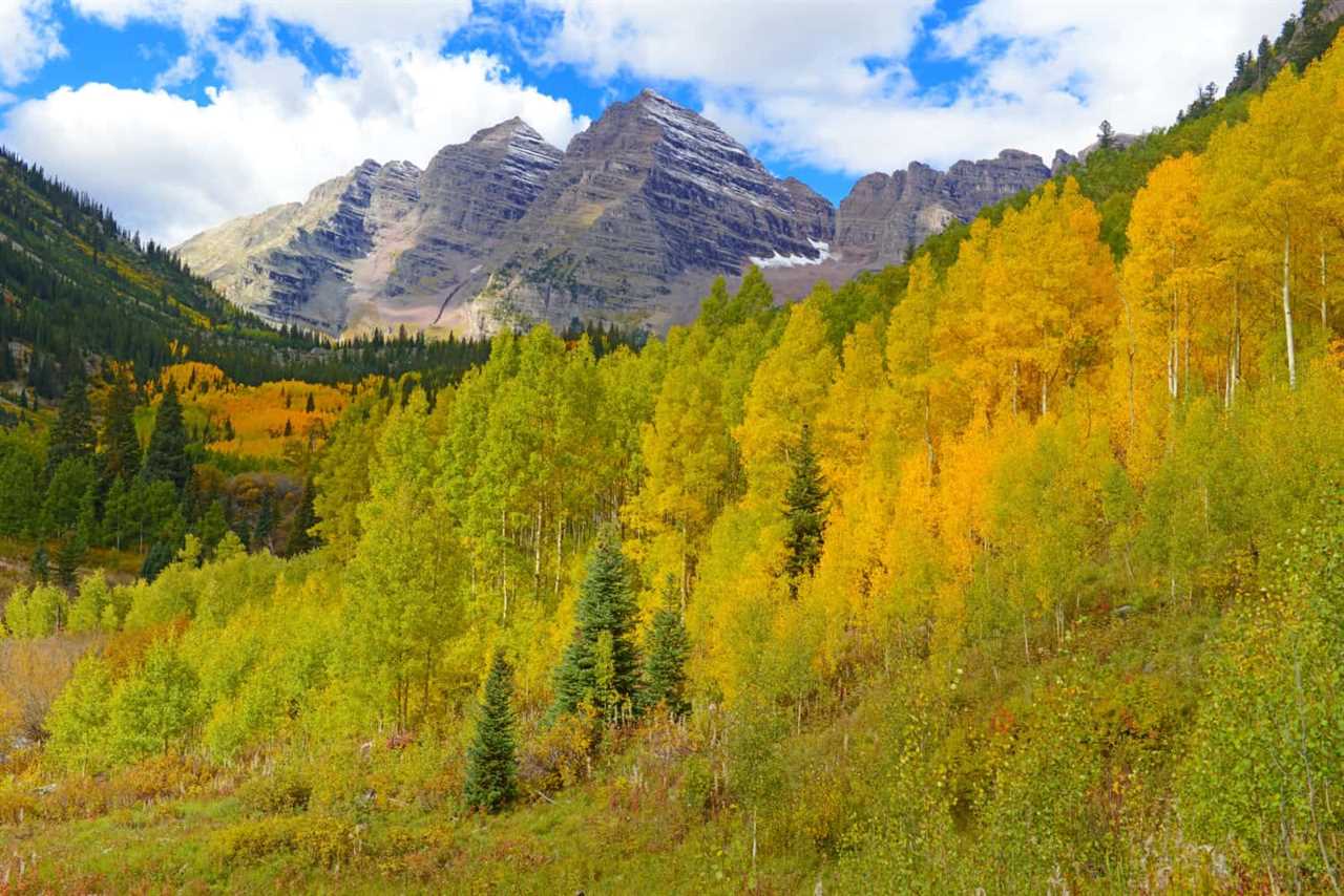 Fall Foliage and Maroon Bells in Aspen, CO