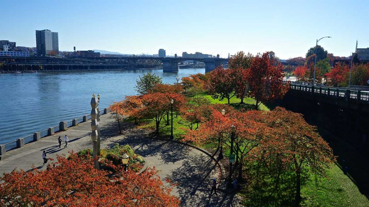 Oregon's Top Pet Friendly Attraction: Portland's Parks | GoPetFriendly.com