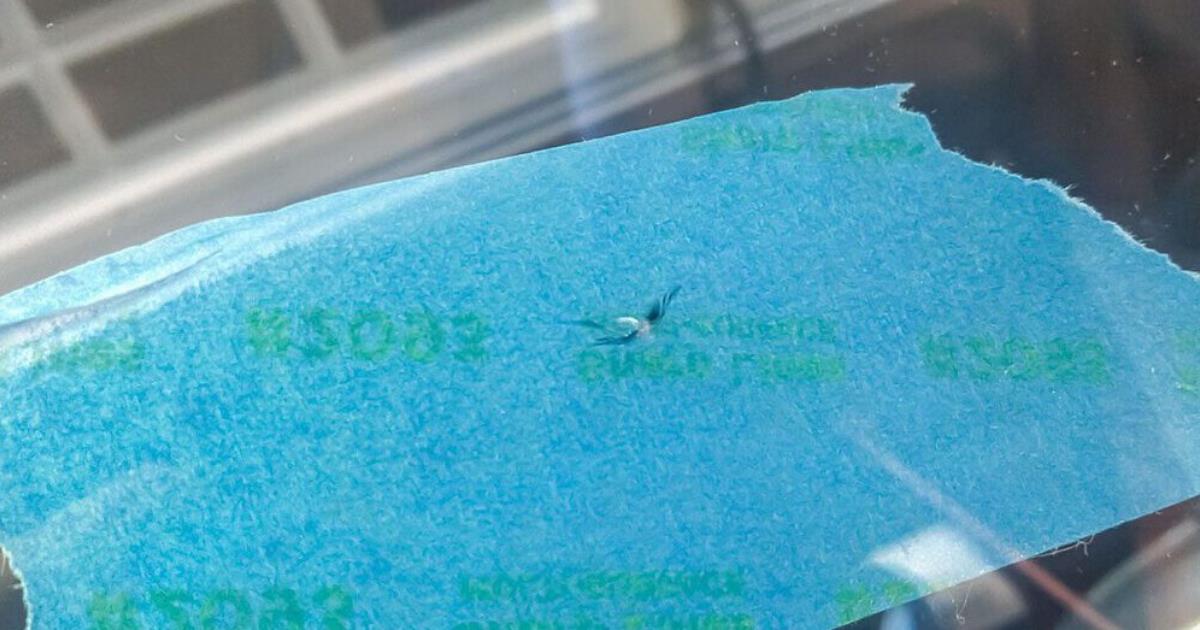 How to Repair Chips and Cracks on Your Windshield