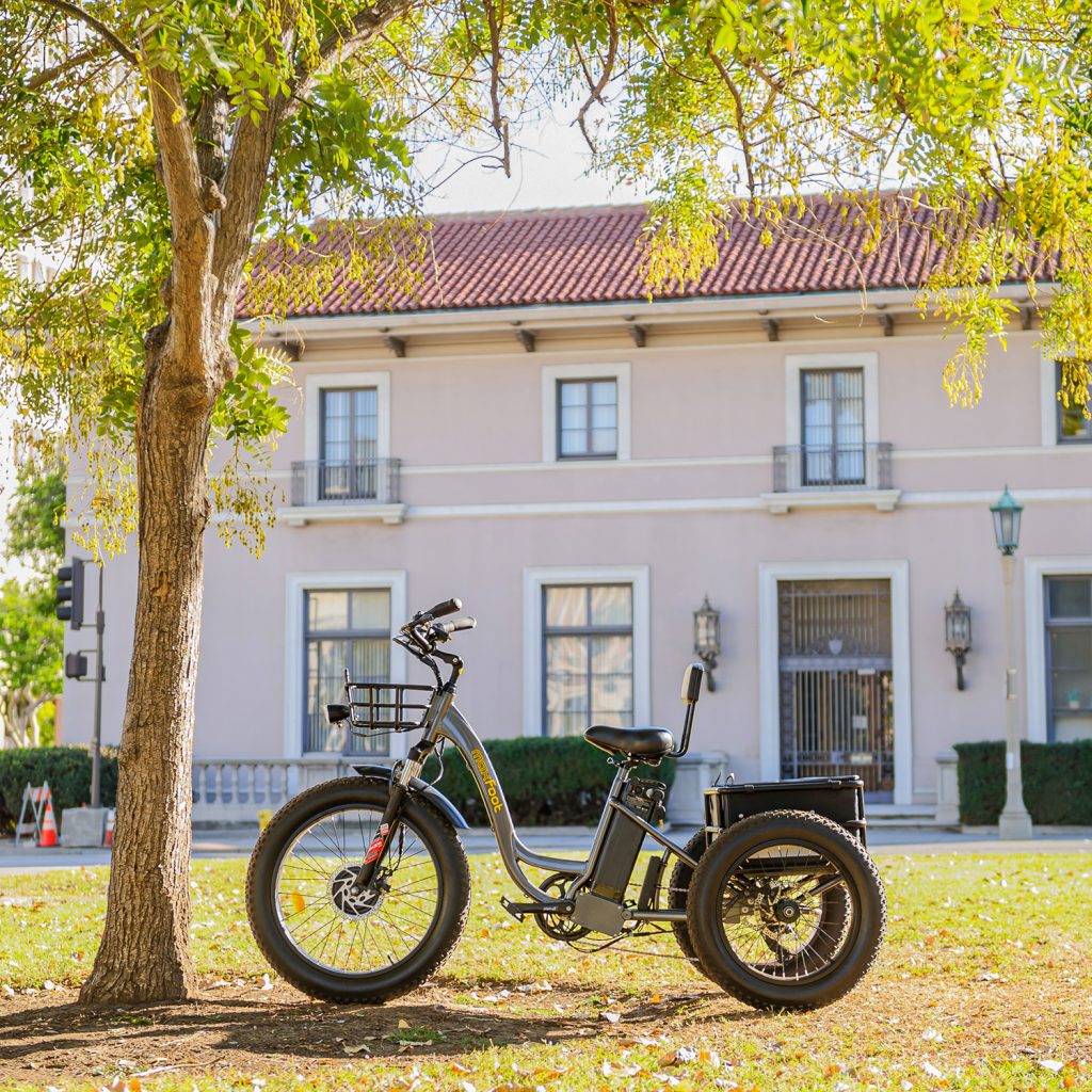 fat-tire electric trikes