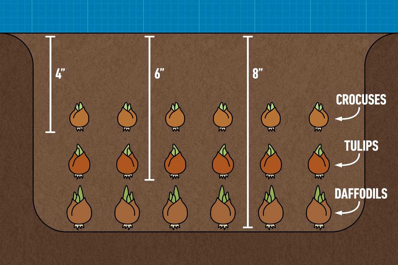 What Is The Lasagna Planting Method Graphic Gettyimages2