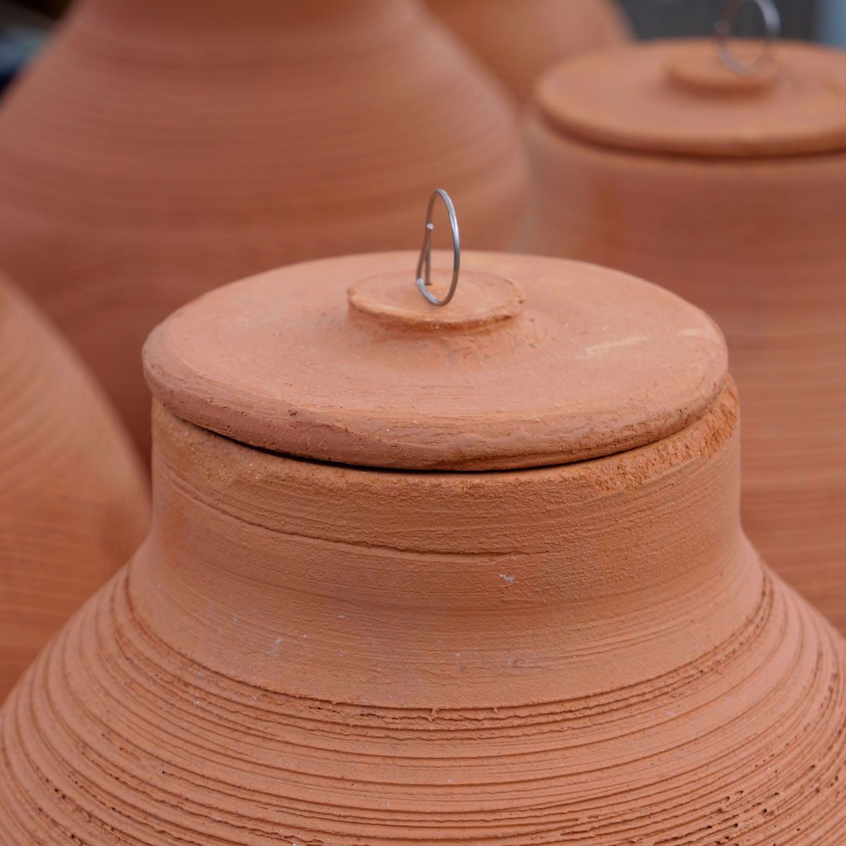 Terracotta Olla Pots are used to water soil by planting the pots in the ground to disperse water