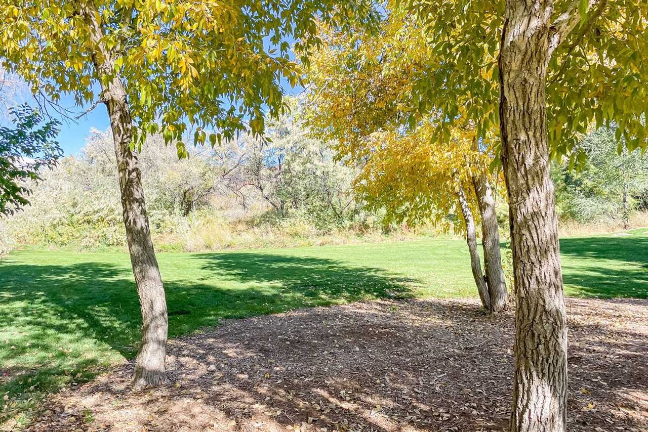 A Park with Some Trees