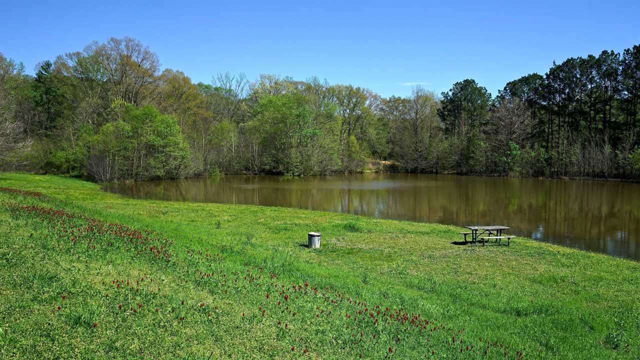 Mississippi's Top Pet Friendly Attraction: The Natchez Trace | GoPetFriendly.com