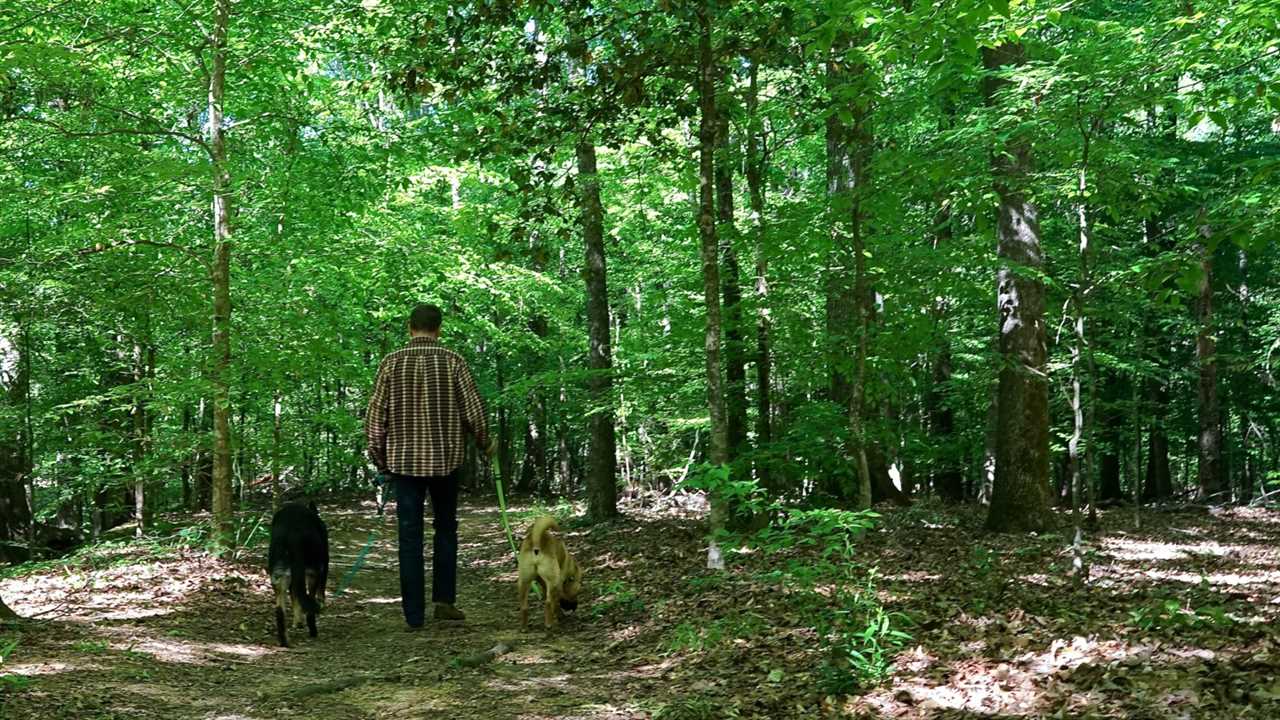 Mississippi's Top Pet Friendly Attraction: The Natchez Trace | GoPetFriendly.com