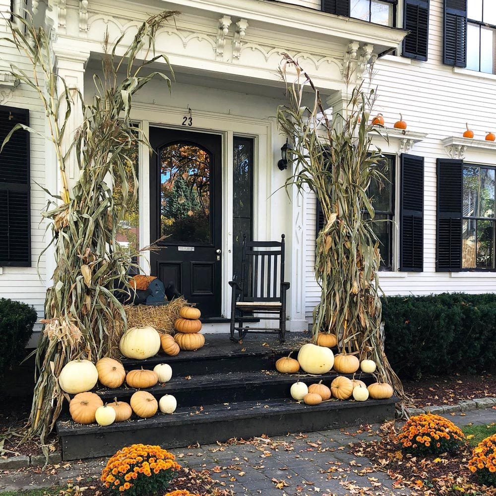 Classic Corn Stalks Courtesy Calypsointhecountry Instagram