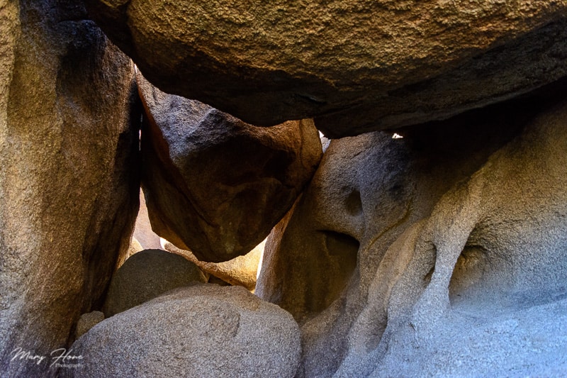 Hiking at Joshua Tree National Park with Dogs | GoPetFriendly.com