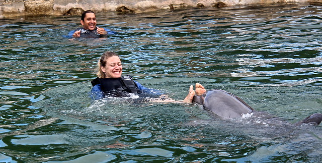 push my feet dolphin trick while swim with the dolphins in florida keys 