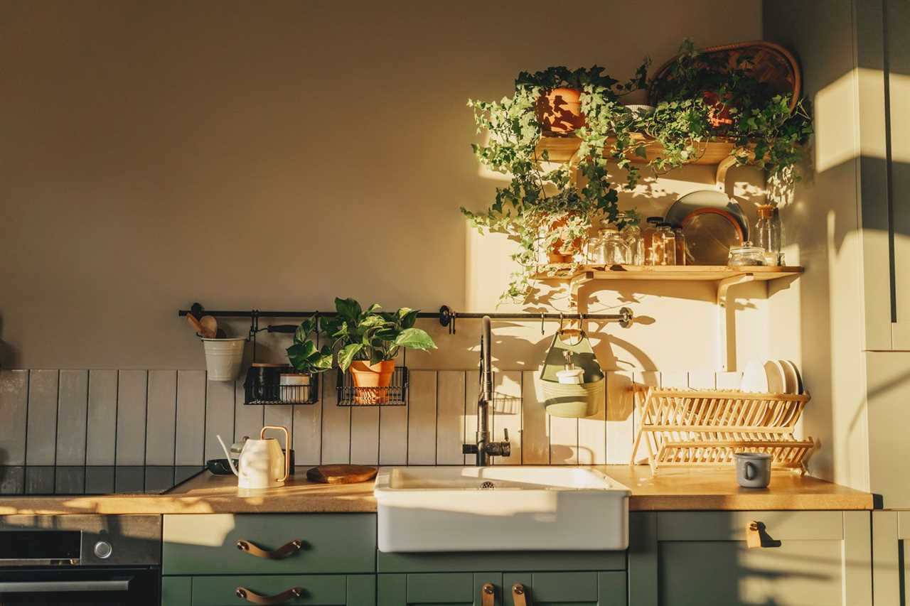 Luxury And Very Clean Empty European Kitchen with green kitchen cabinets, dishes in the strainer, plants vined above the sink and in pots on a railing system