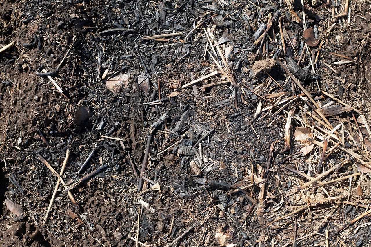 Burnt Wood Chips For Soil