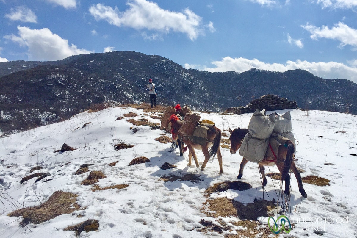 Druk Path Trek, Bhutan in Winter 