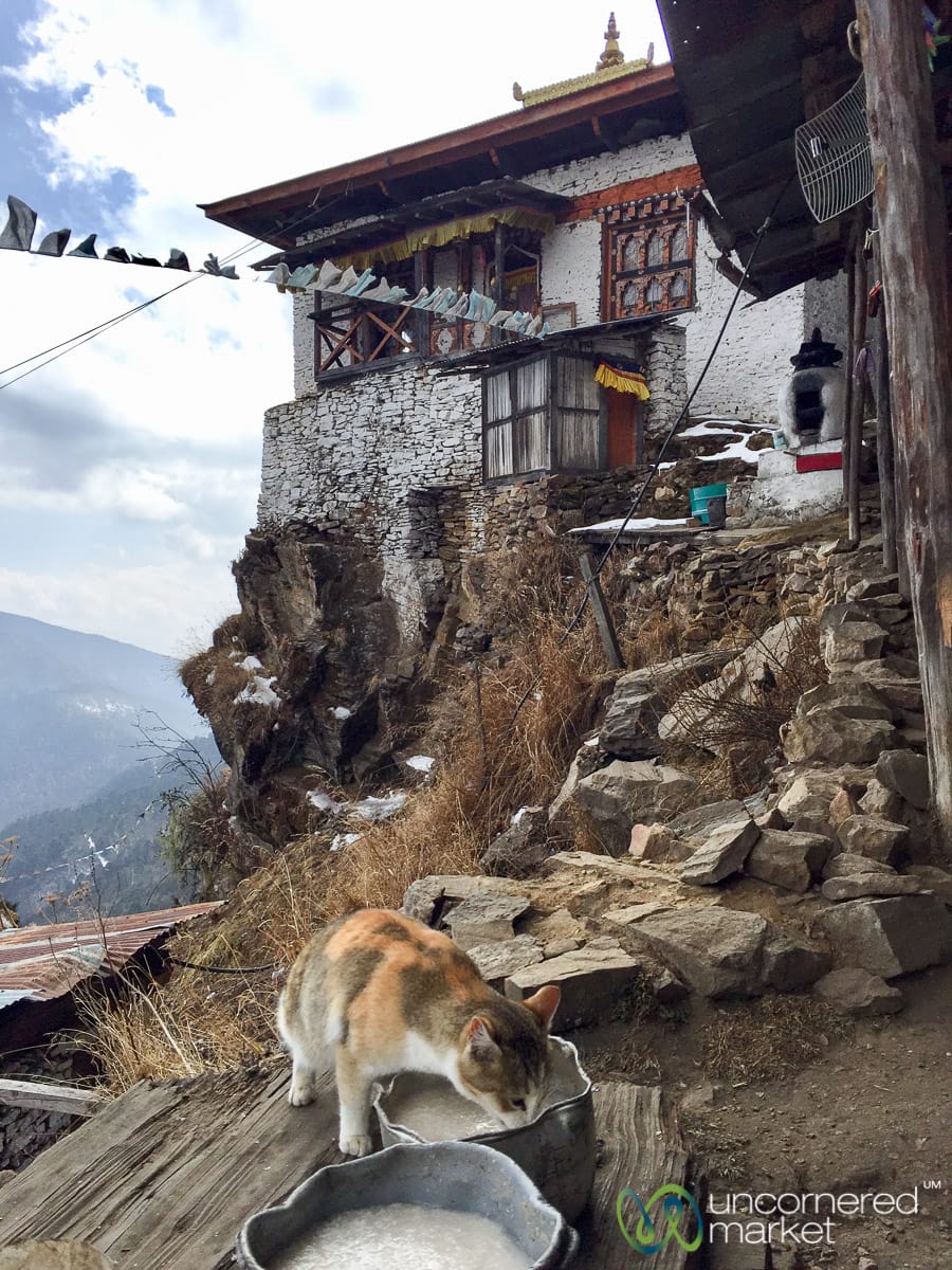 Druk Path Trek in Bhutan - Thujidrak Goemba Temple 