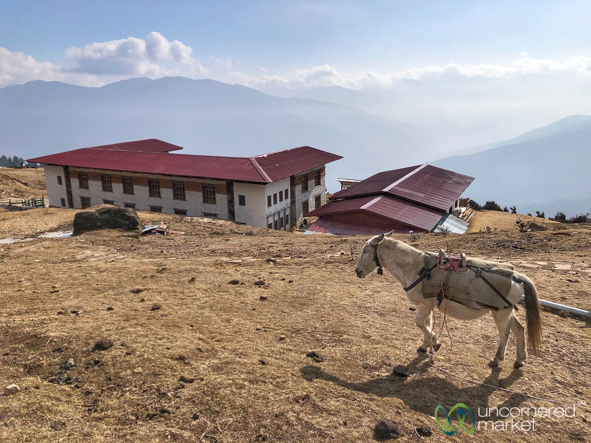 Bhutan Trekking: The Druk Path Trek and New Trans Bhutan Trail