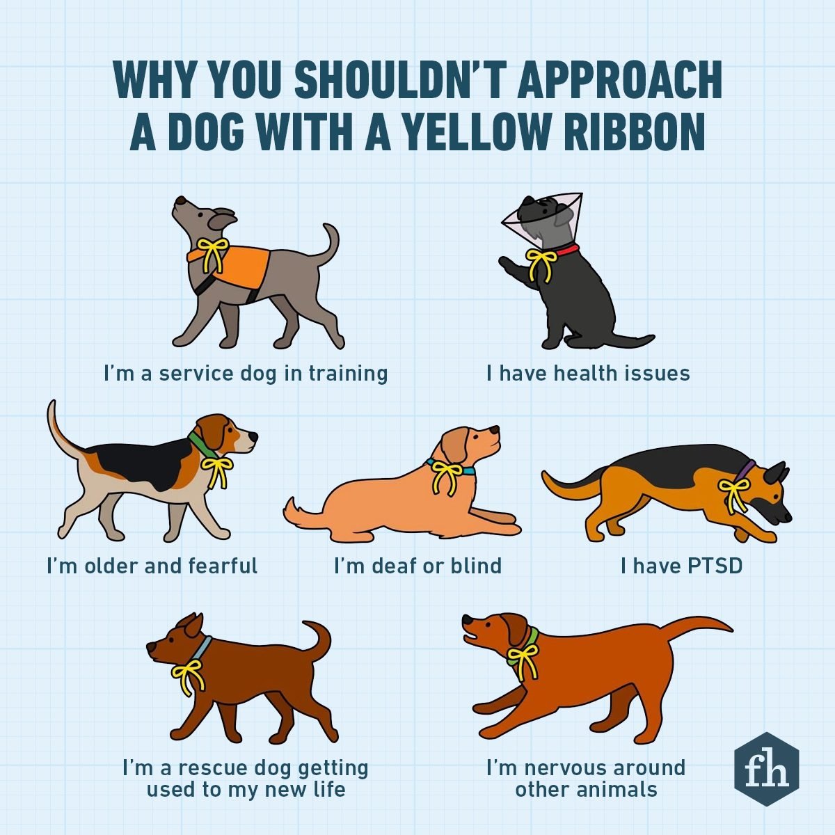 Fhm Why You Shouldnt Approach A Dog With A Yellow Ribbon Infographic Gettyimages