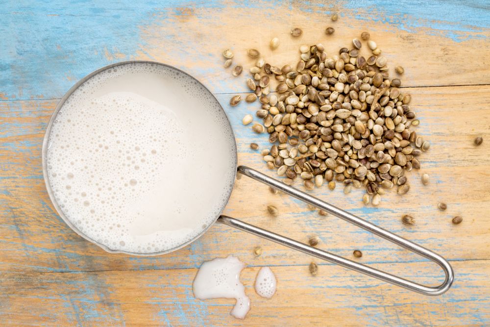 Hemp seed milk